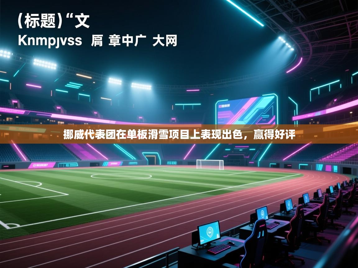 挪威代表团在单板滑雪项目上表现出色，赢得好评