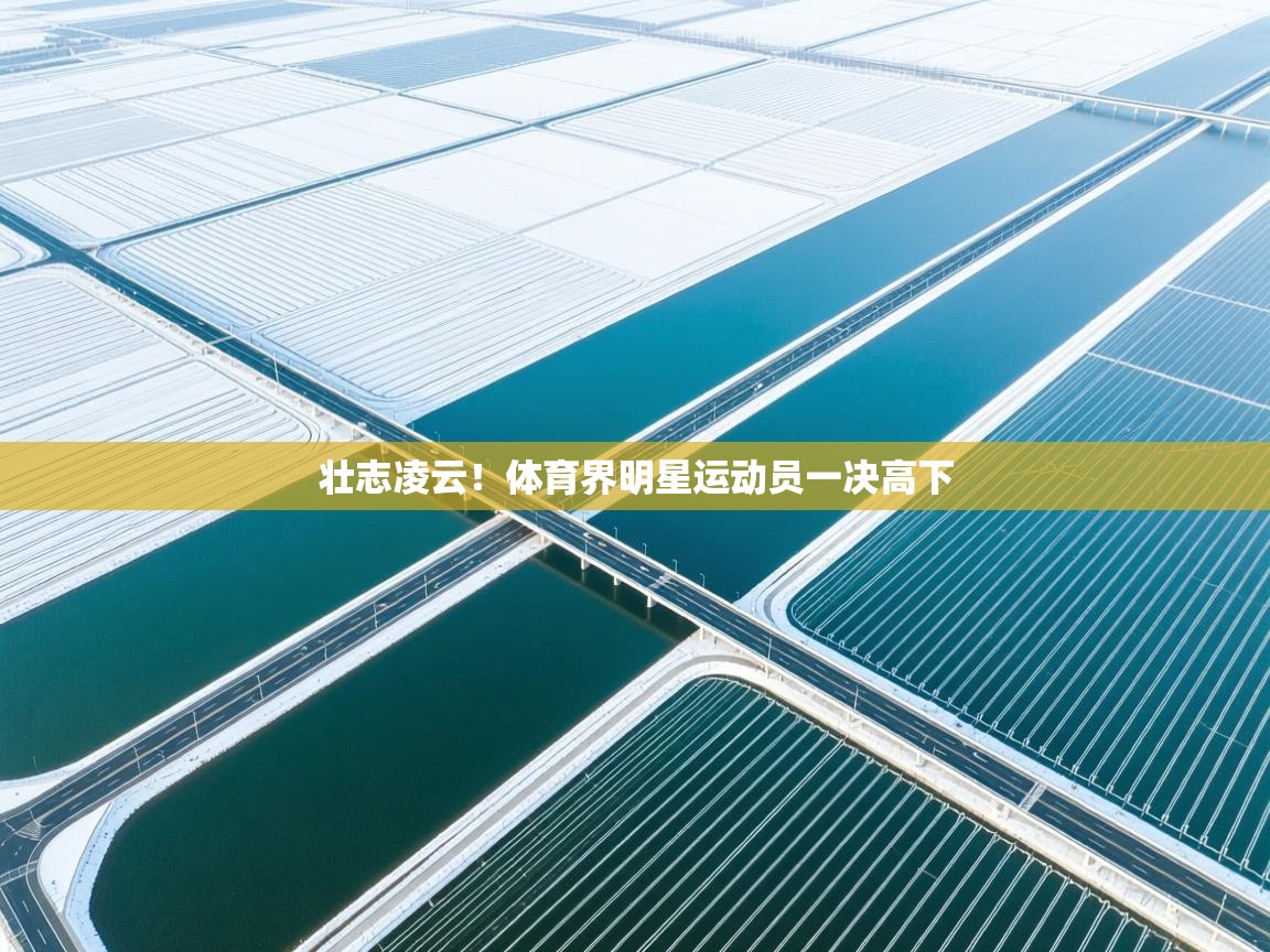 壮志凌云！体育界明星运动员一决高下