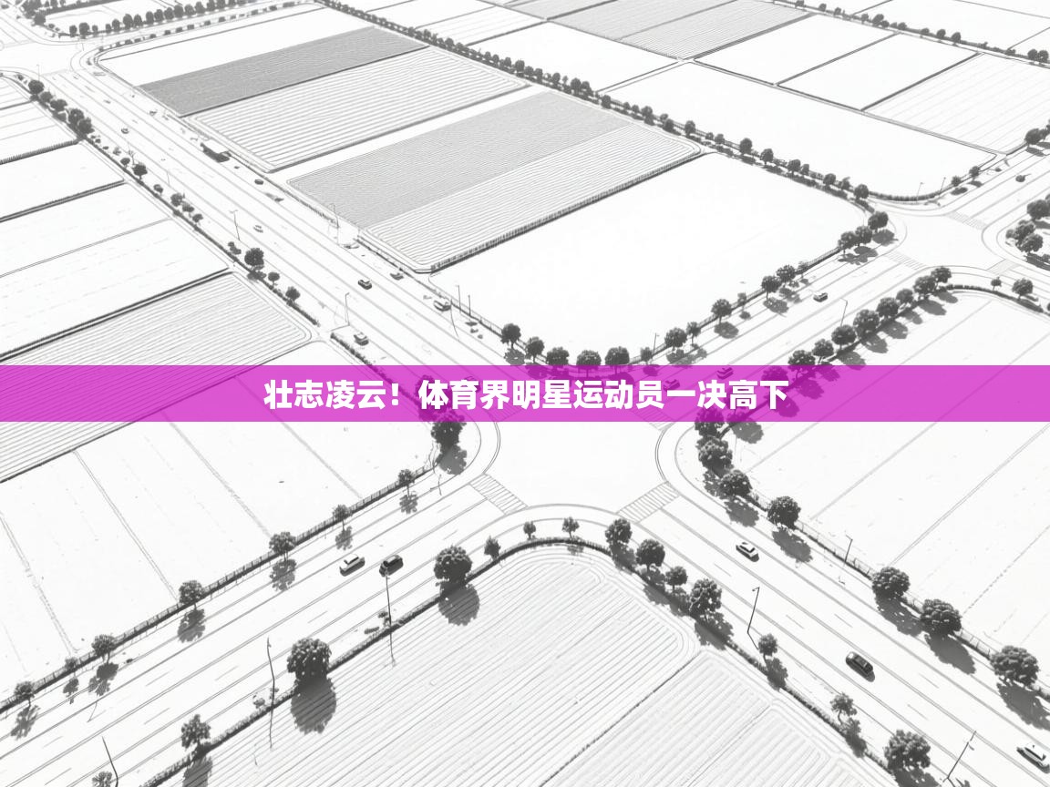 壮志凌云！体育界明星运动员一决高下