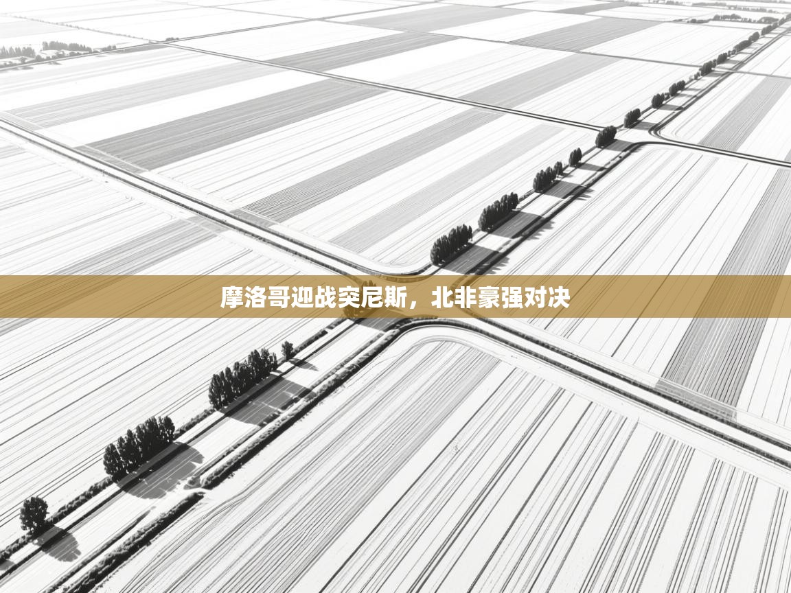 摩洛哥迎战突尼斯，北非豪强对决