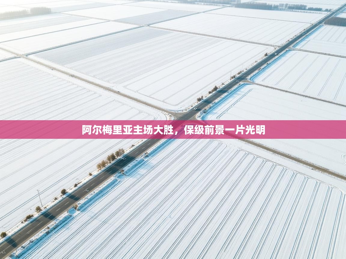 阿尔梅里亚主场大胜，保级前景一片光明  第1张